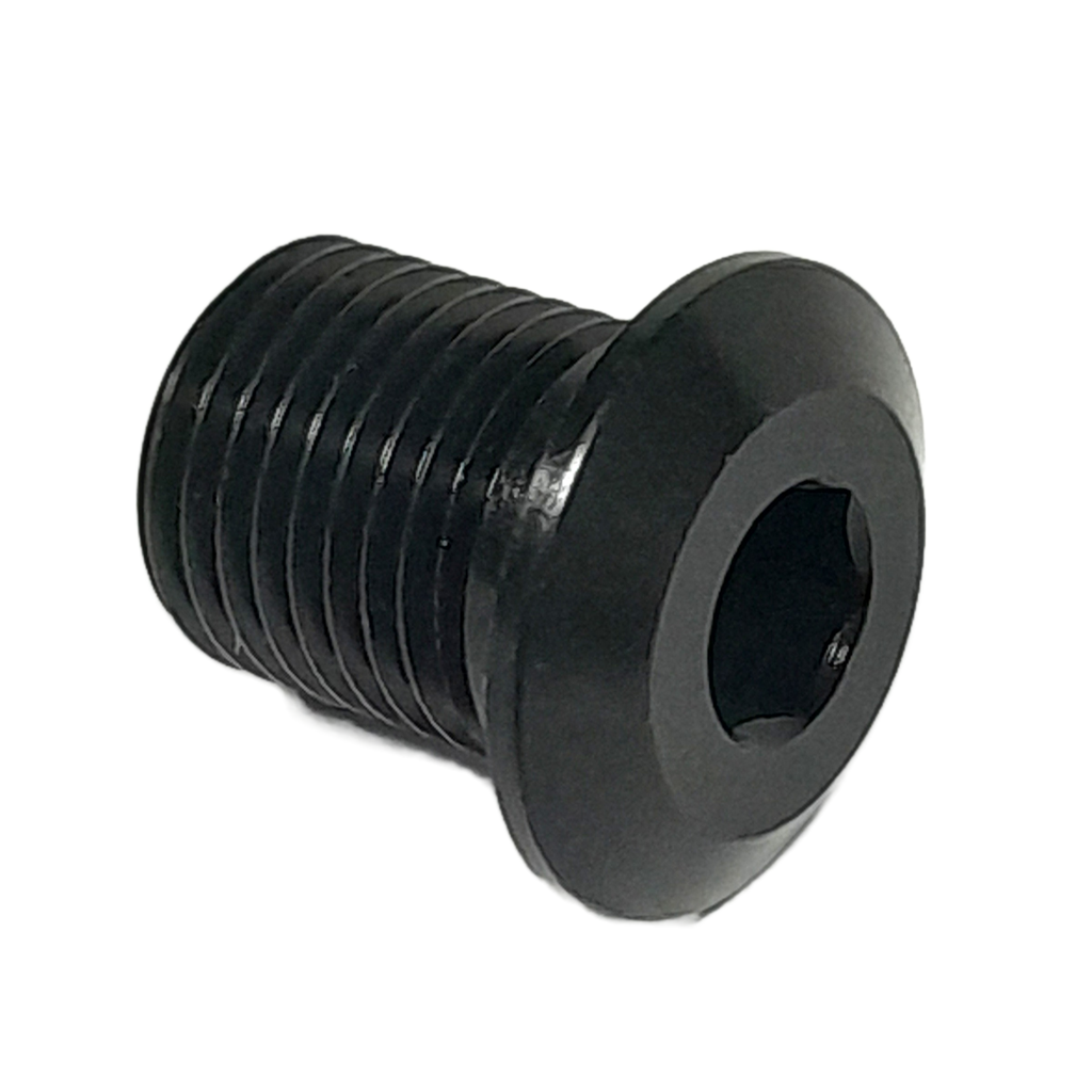 Schraube AL M10x1x12_HEX5 für Gleitplatte 301CE und SCS Kettenführungen