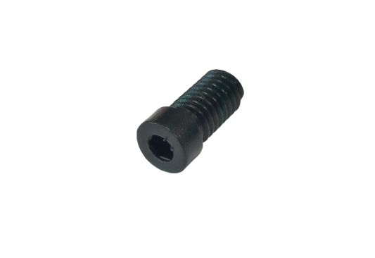 Schraube POM_M5x8_HEX2.5