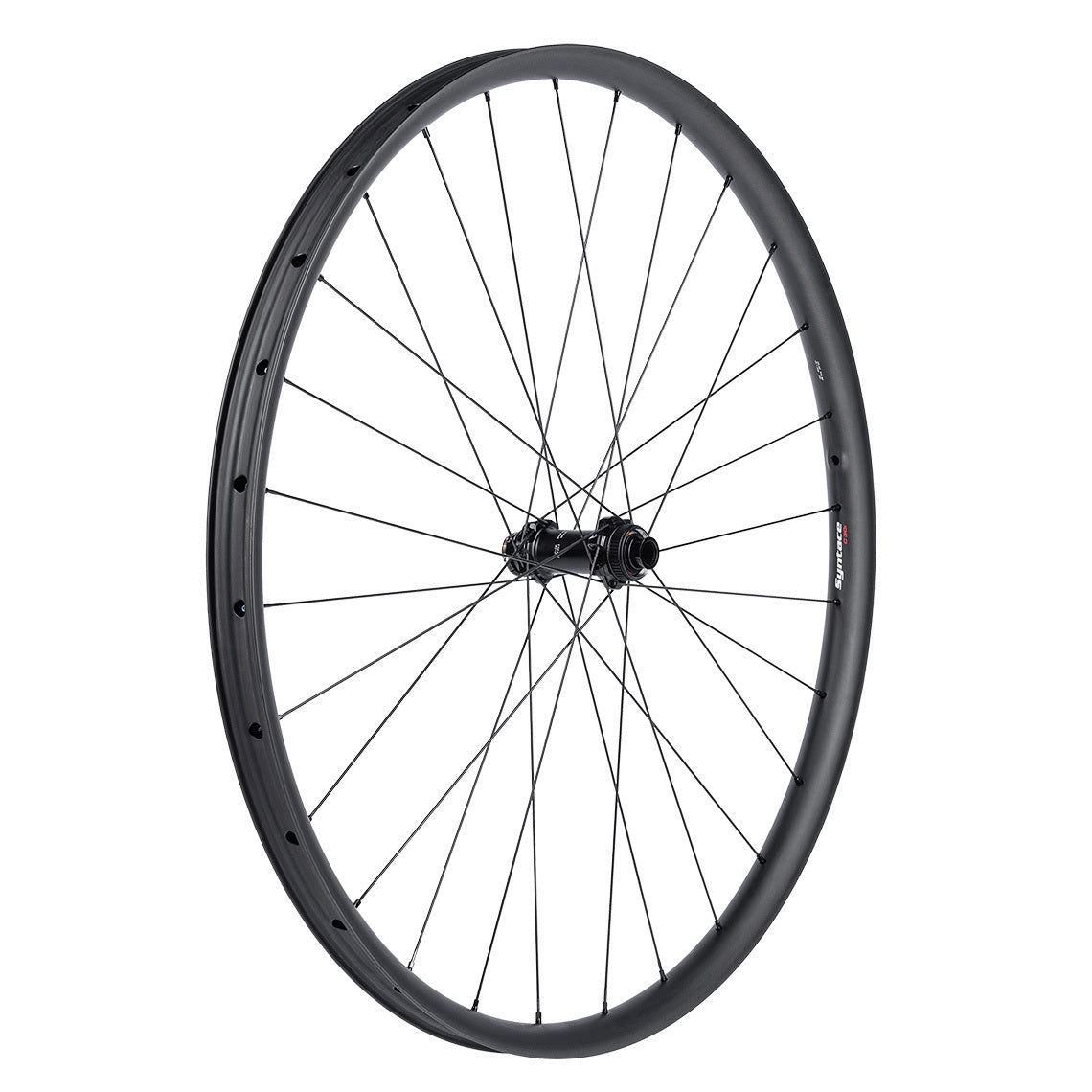 C30i Carbon Vorderrad 29"