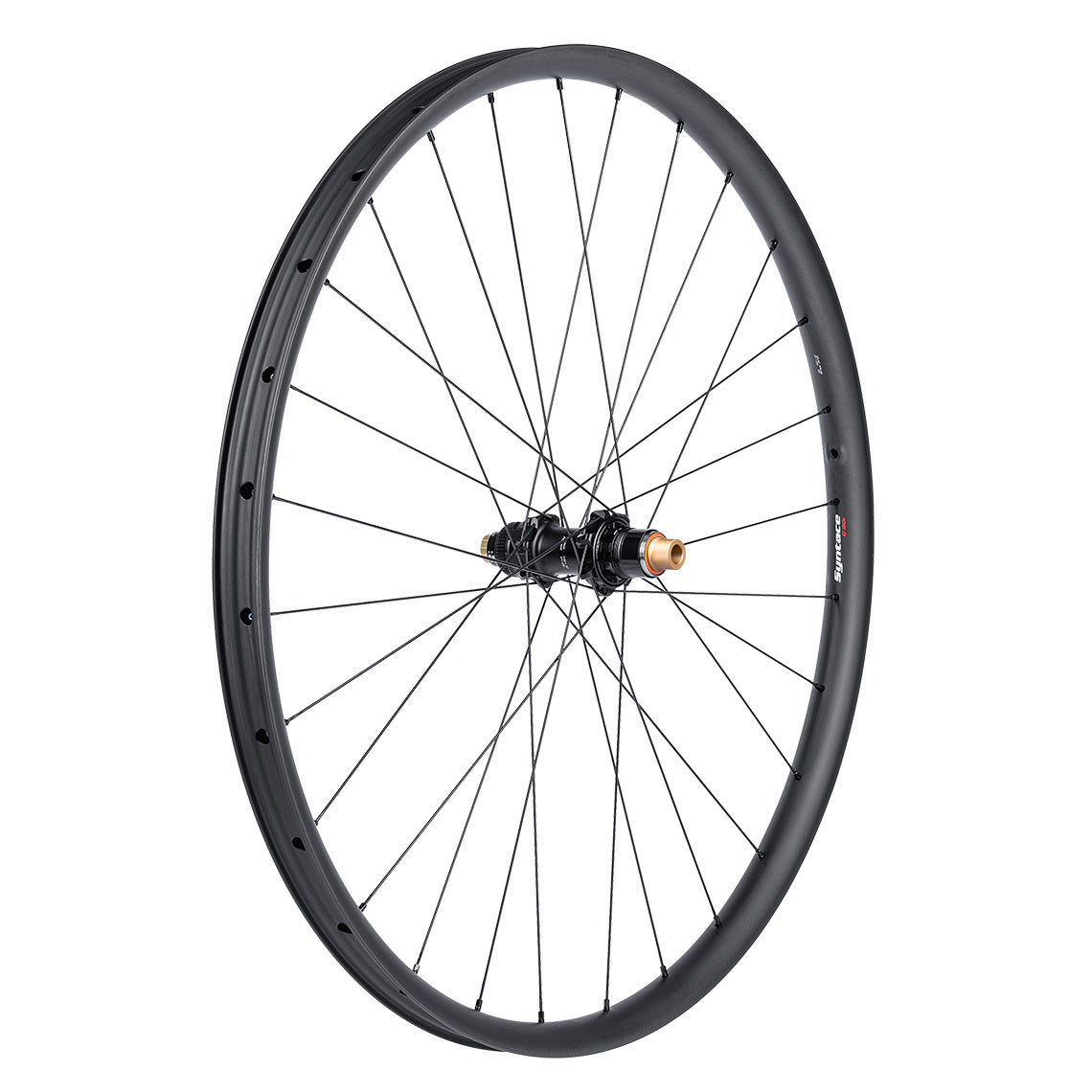 C30i Carbon Hinterrad 29"