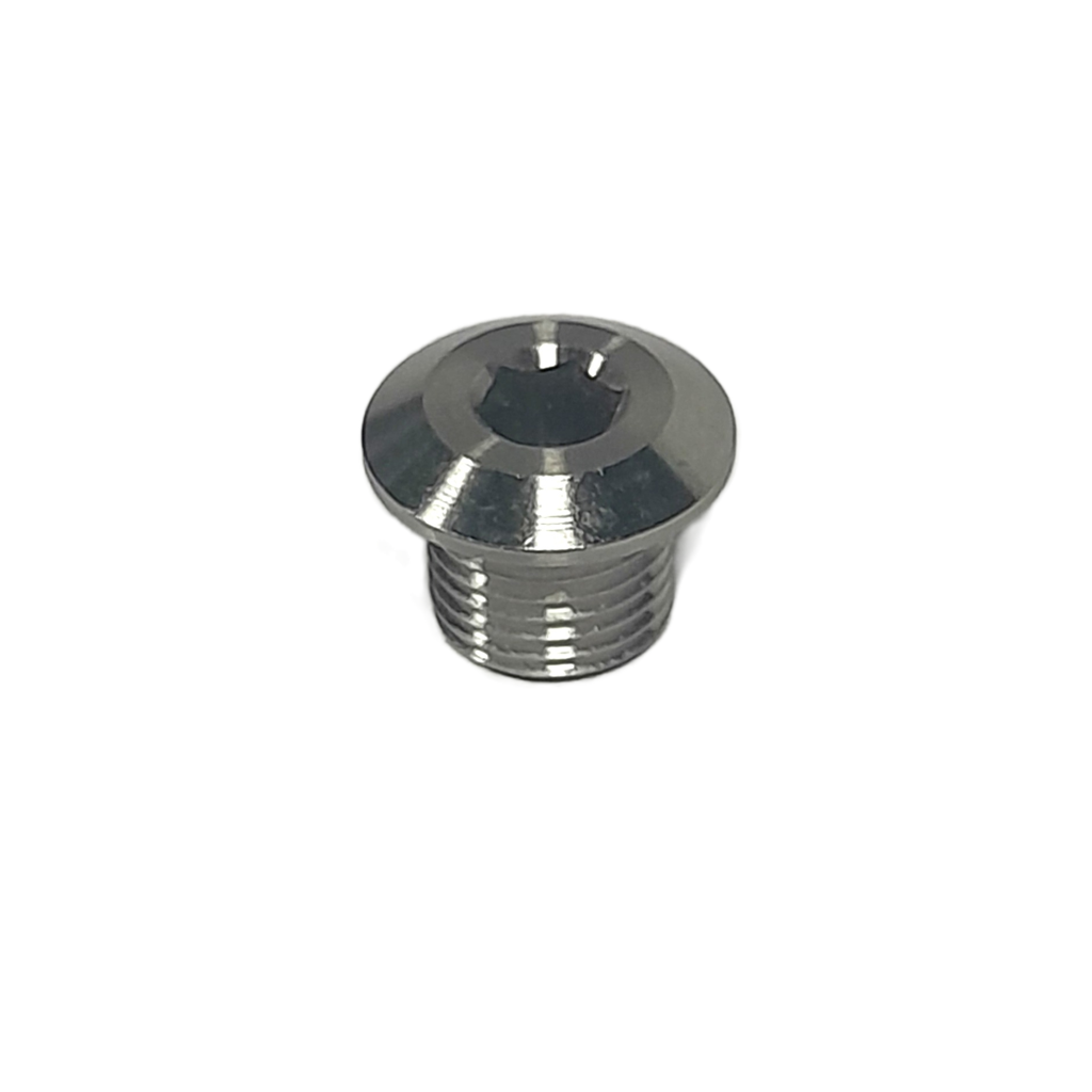 Schraube Ti_M10x1x8,5_ HEX5